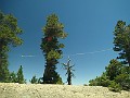 2014 Mt Baldy Cali 151